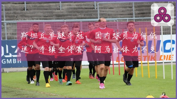 斯坦丘单腿夺冠，国内球员为何低迷？李镇全停赛，阿马杜体力不支。